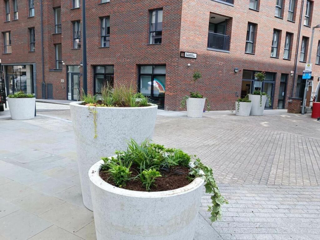 concrete plant pots